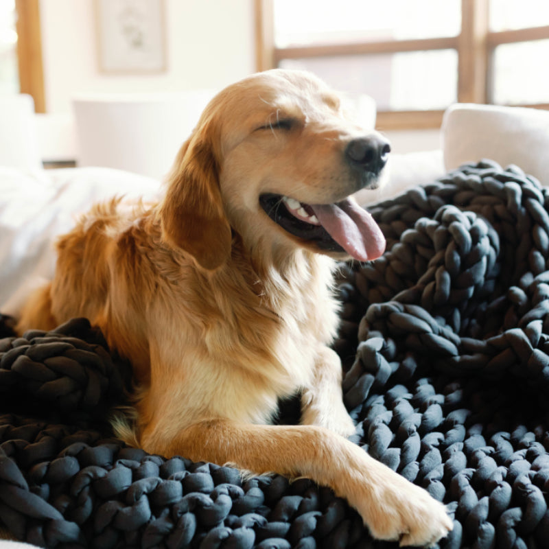 Knit Weighted Blanket Commitment Environment 
